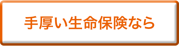 手厚い生命保険なら